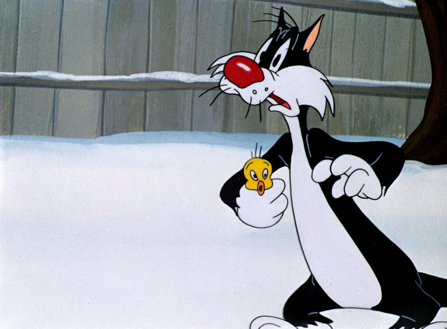 Кот сильвестр