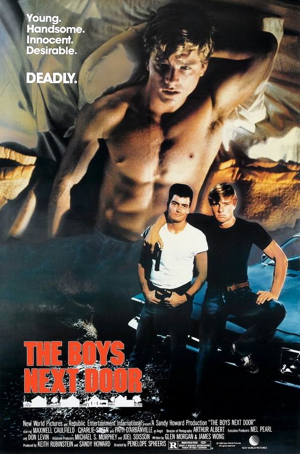 Соседские мальчишки / The Boys Next Door