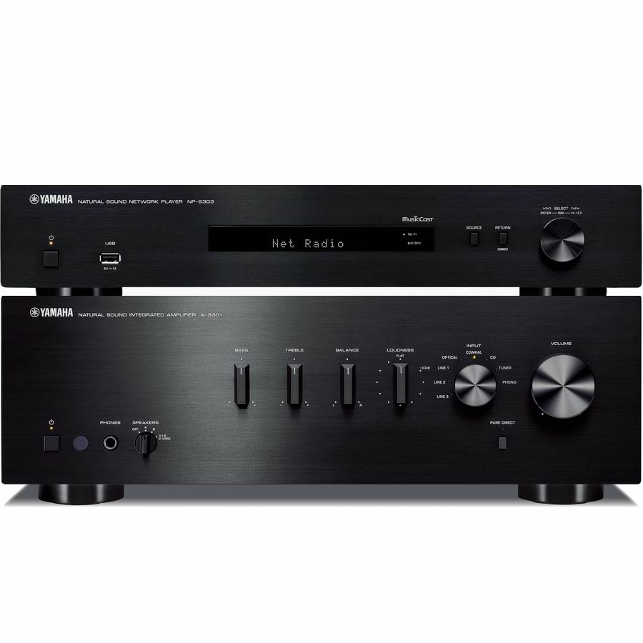 Yamaha Musiccast 300