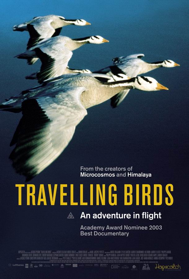 Птицы / Le peuple migrateur