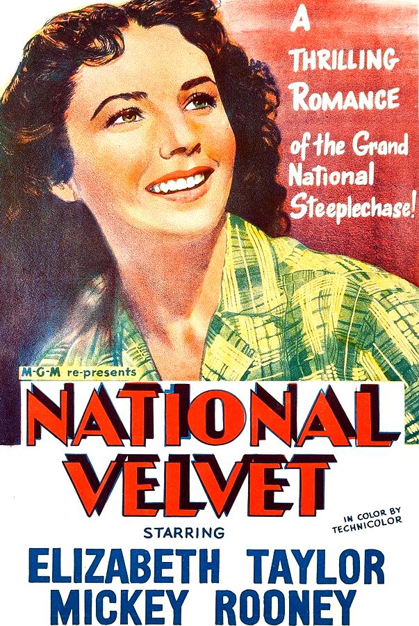 Национальный бархат / National Velvet