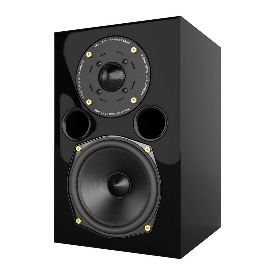 Акустическая система Acoustic Energy AE1 40th Anniversary Gloss Black