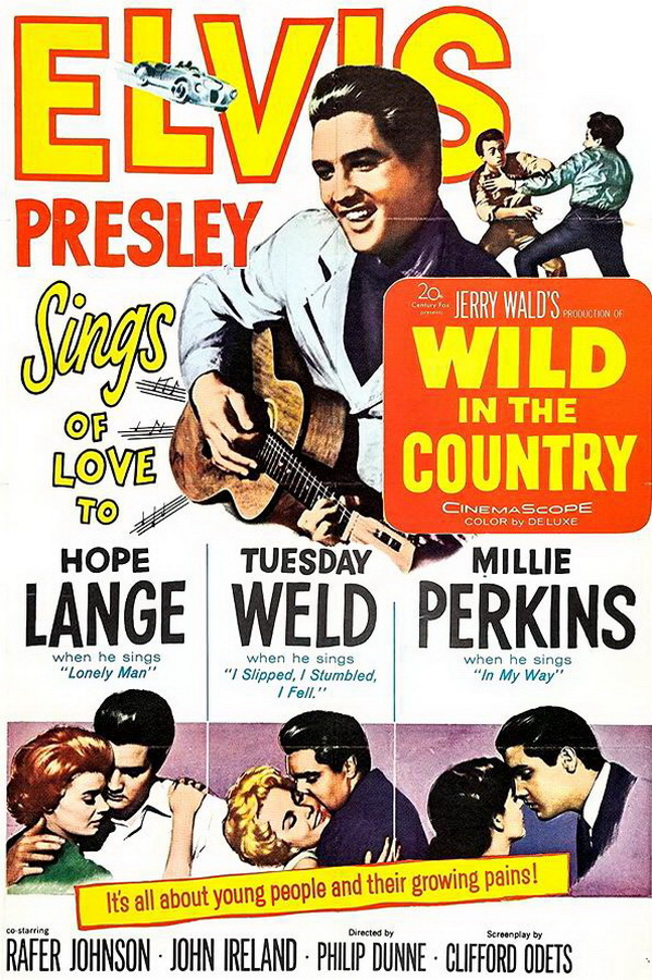 Одиночка / Wild in the Country