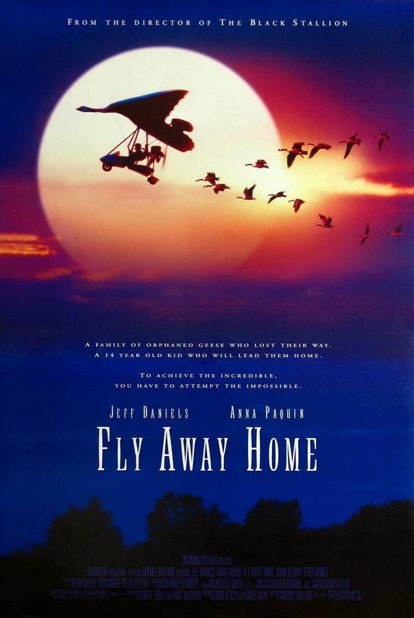 Летите домой / Fly Away Home