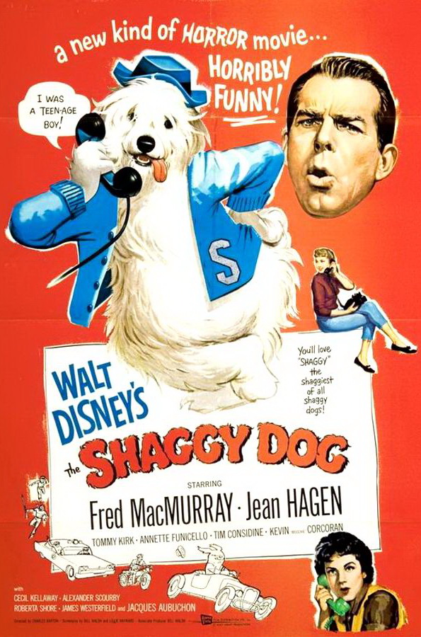 Лохматый пес / The Shaggy Dog