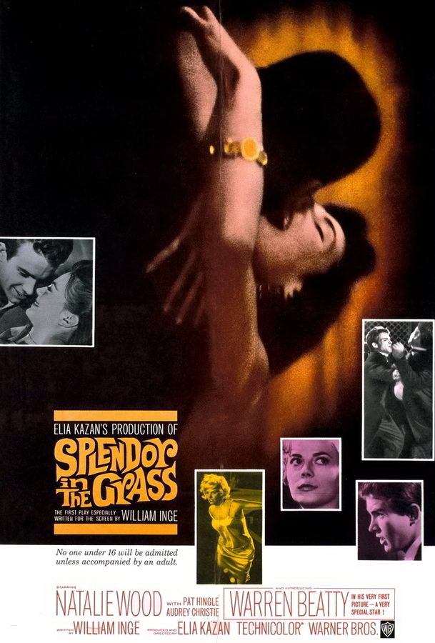 Великолепие в траве / Splendor in the Grass