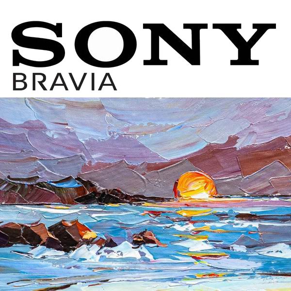 BRAVIA Connect by Sony BRAVIA Connect by Sony