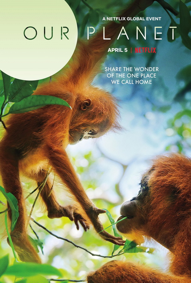 Наша планета / Our Planet Наша планета / Our Planet