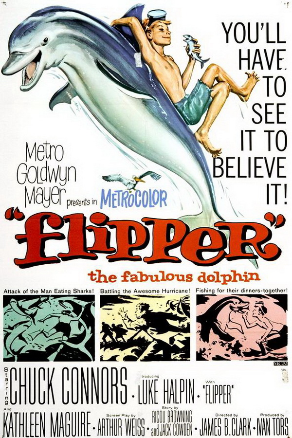 Флиппер / Flipper