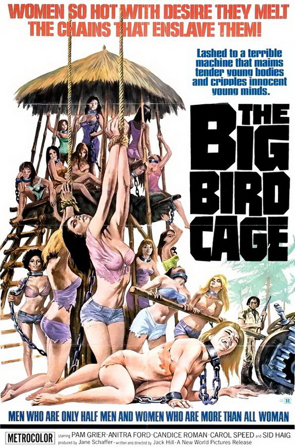 Большая клетка для птиц / The Big Bird Cage Большая клетка для птиц / The Big Bird Cage