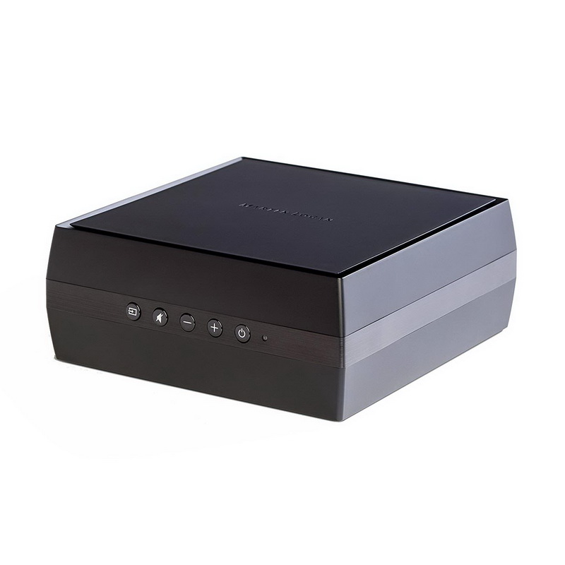 Мультирумный усилитель Martin Logan Forte