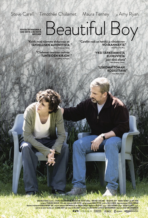 Красивый мальчик / Beautiful Boy