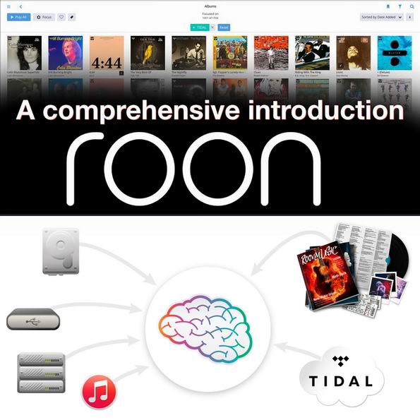 Программный плеер Roon 