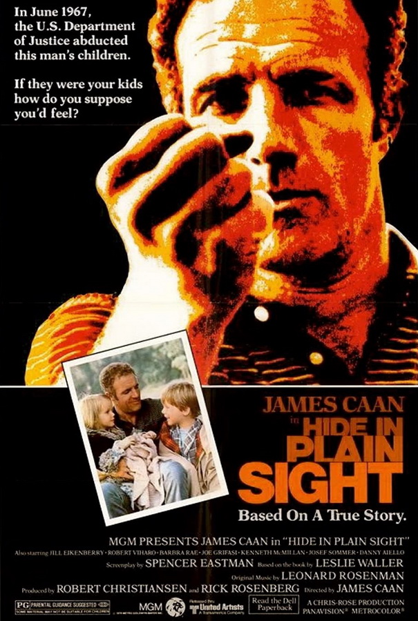 Скрой у всех на виду / Hide in Plain Sight