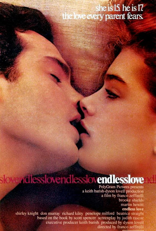 Бесконечная любовь / Endless Love Бесконечная любовь / Endless Love