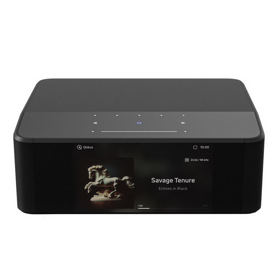 BlueSound Node Icon N530 