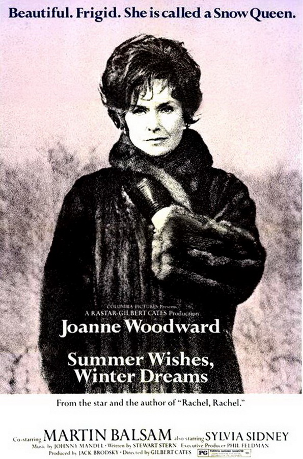 Летние желания, зимние мечты / Summer Wishes, Winter Dreams