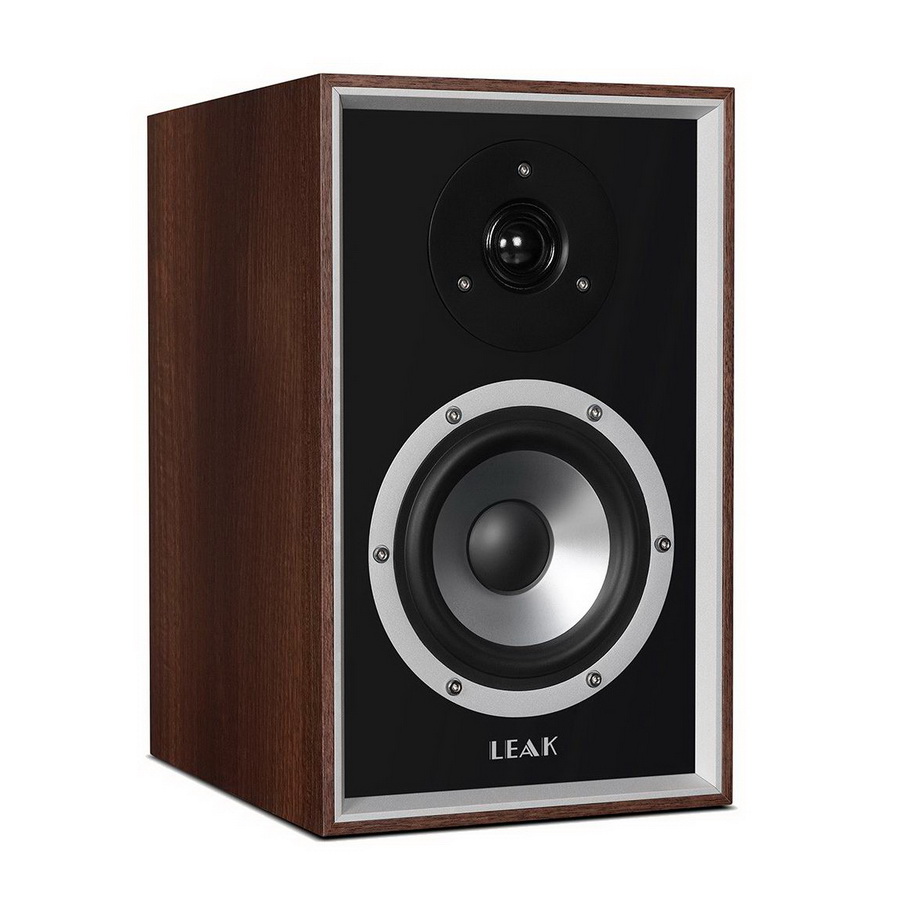 Акустическая система Leak Sandwich 100