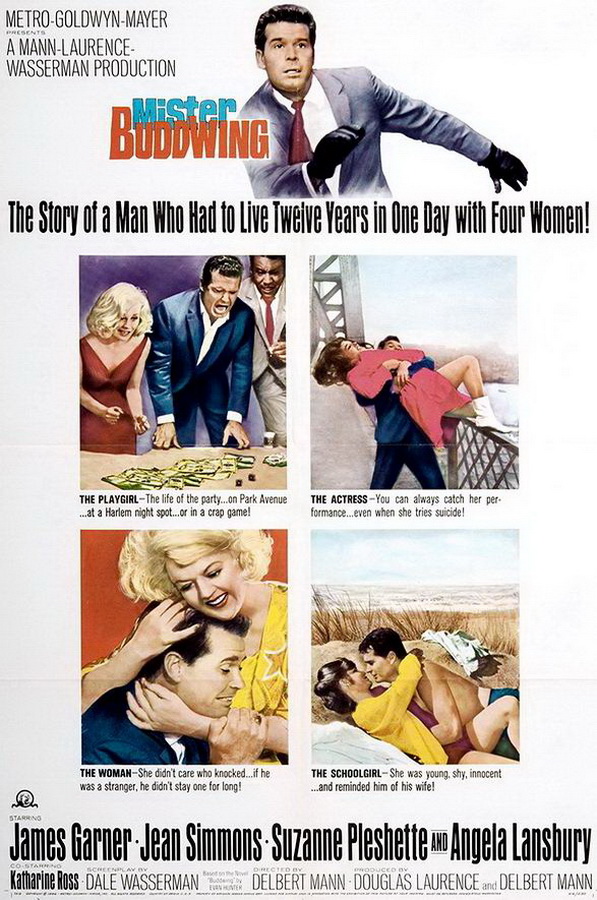 Мистер Буддвинг / Mister Buddwing