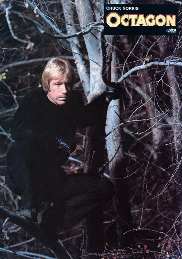 Октагон / The Octagon