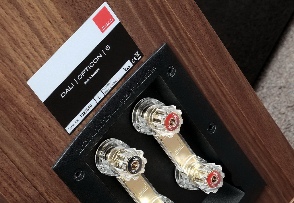 DALI_Opticon_6_07.jpg