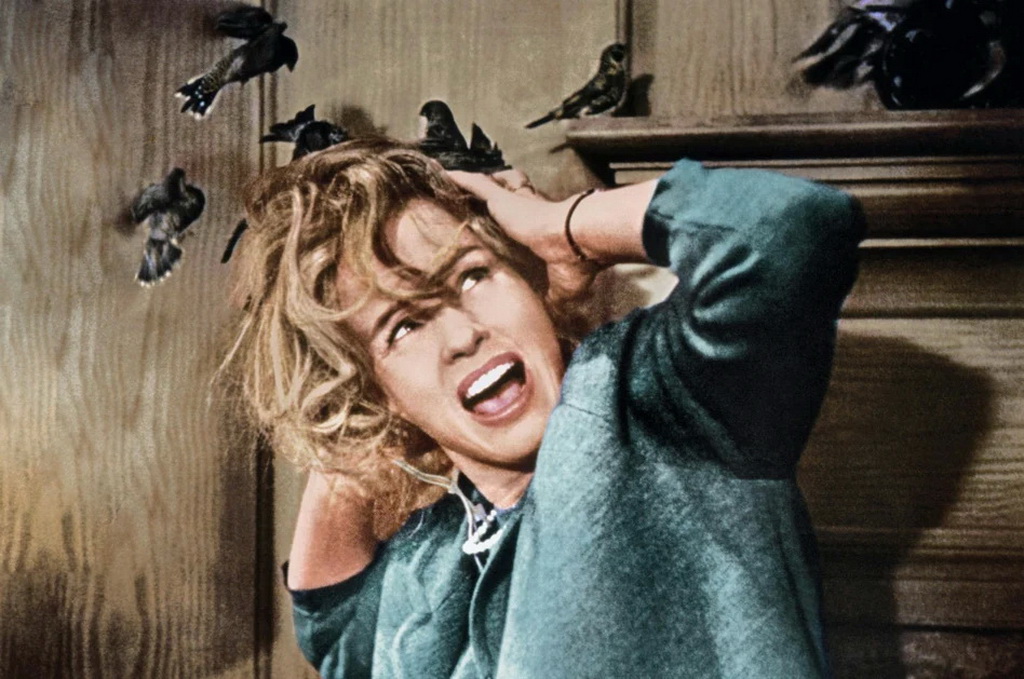 The Birds.jpg