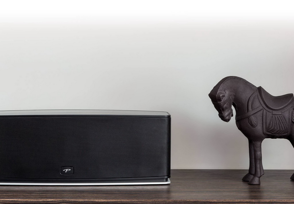 Paradigm PW 800 1.jpg