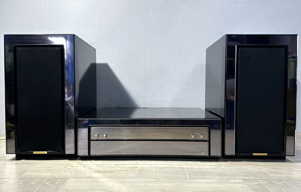Pioneer X hg10.jpg