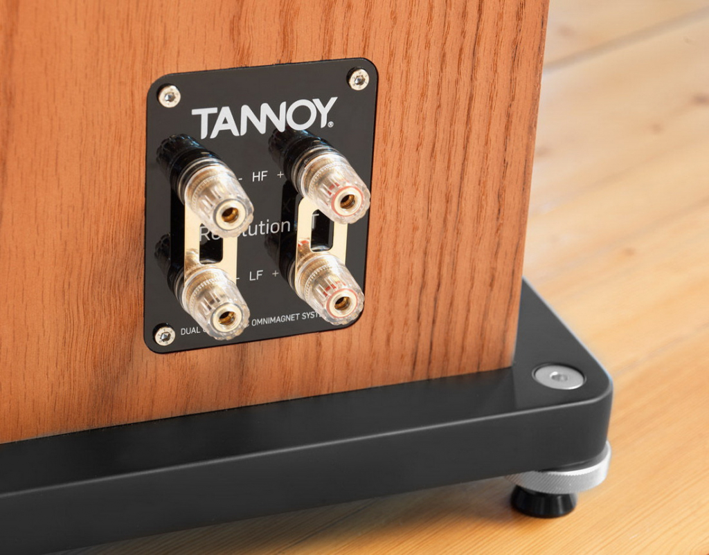Tannoy-Revolution-XT6F-Chene-Fonce_Vd1_1200.jpg