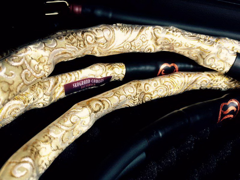 Skogrand SC Beethoven.jpg