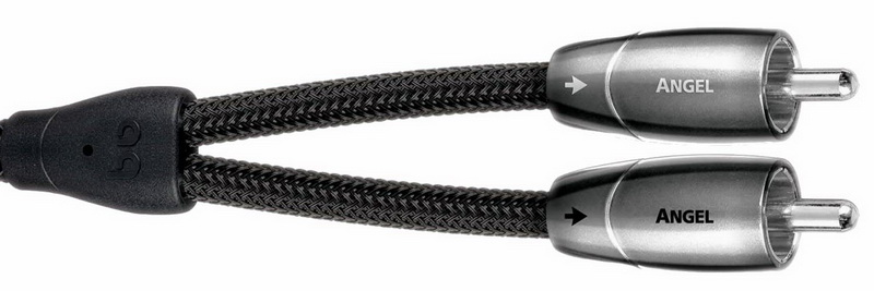 Angel_RCA-to-RCA 3qq.jpg