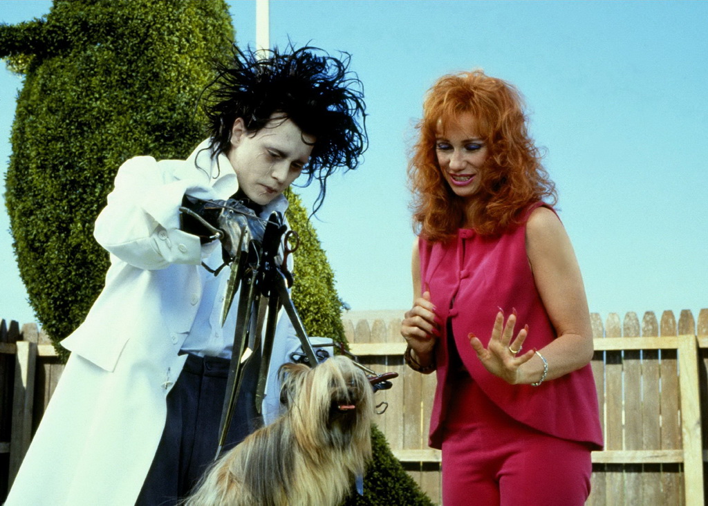 Edward Scissorhands.jpg