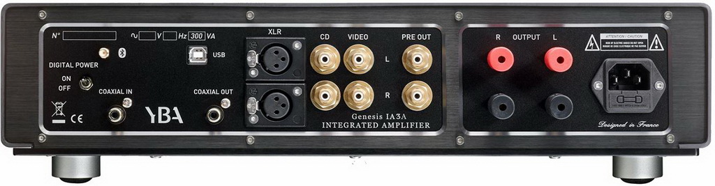 YBA GENESIS IA3A 2.jpg