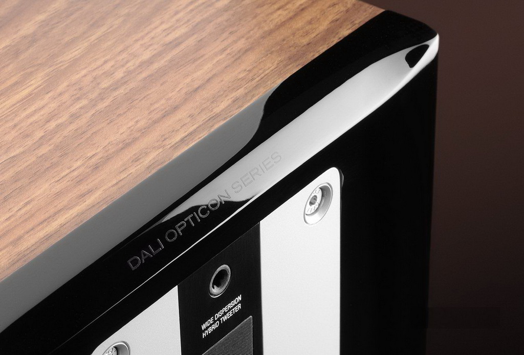 DALI_Opticon_6_08.jpg