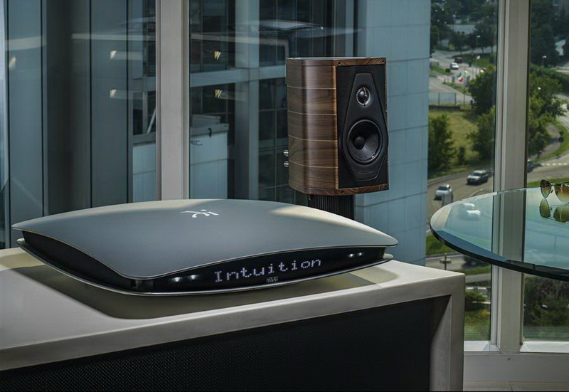 wadia intuition 01 sil 51.jpg