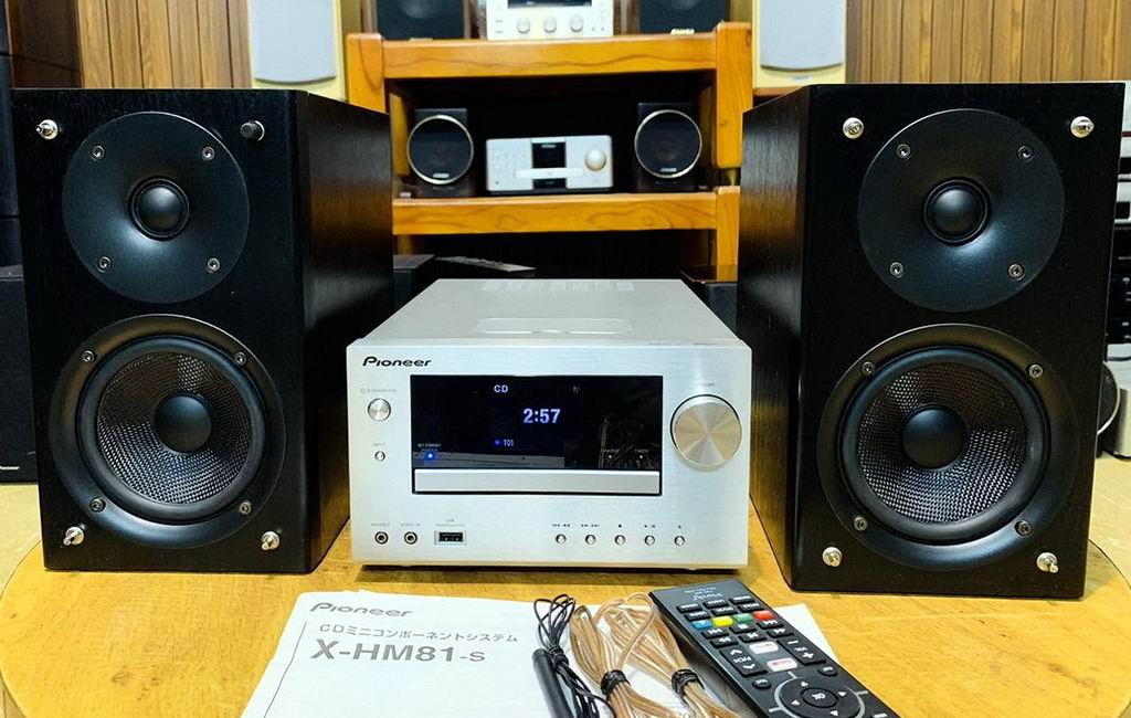 pioneer x hm81.jpg