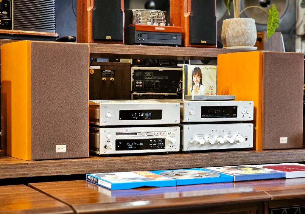 SONY F5000 2.jpg