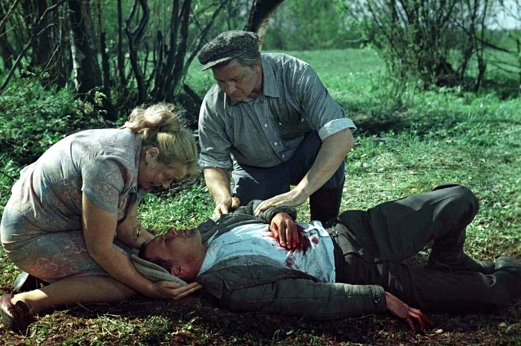 Калина красная.jpg